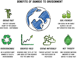 Bamboo Products