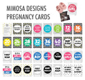 Mimosa Milestone Cards - Pregancy - Eloquence Boutique