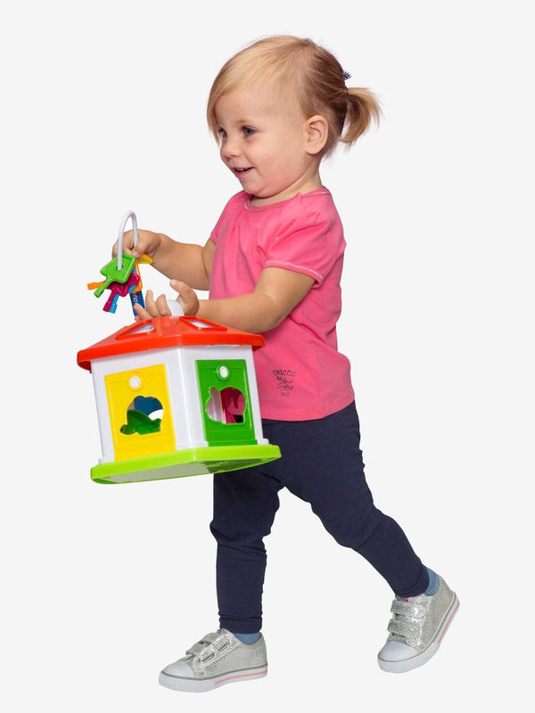Chicco animal deals cottage shape sorter