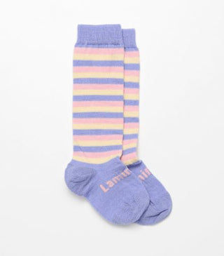 Lamington Merino Socks - Maypole