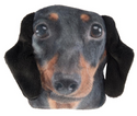 Pet Hot Water Bottle & Cover